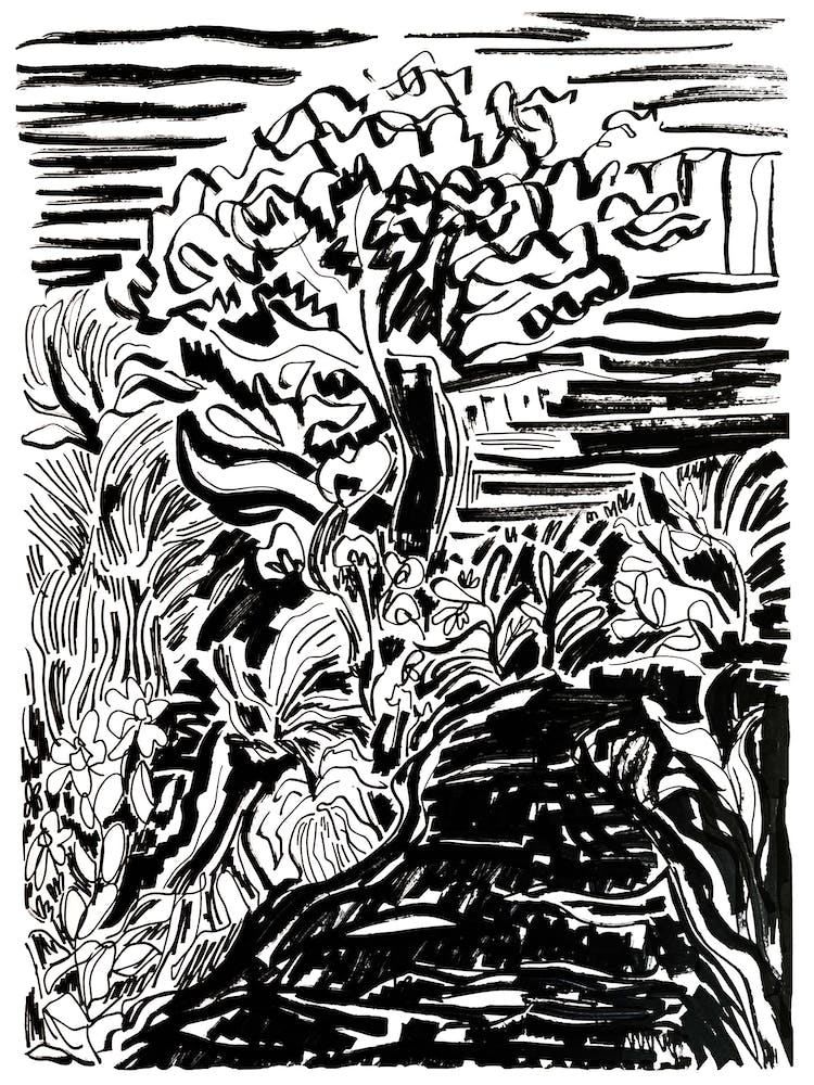 Tree In The Woods