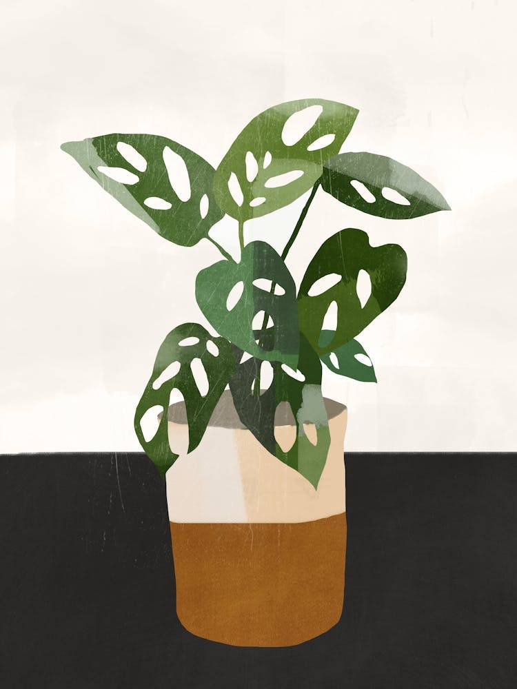 Plant 11