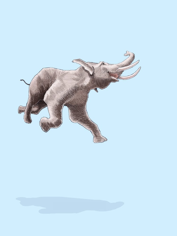 Float   Like A Bird Skyblue