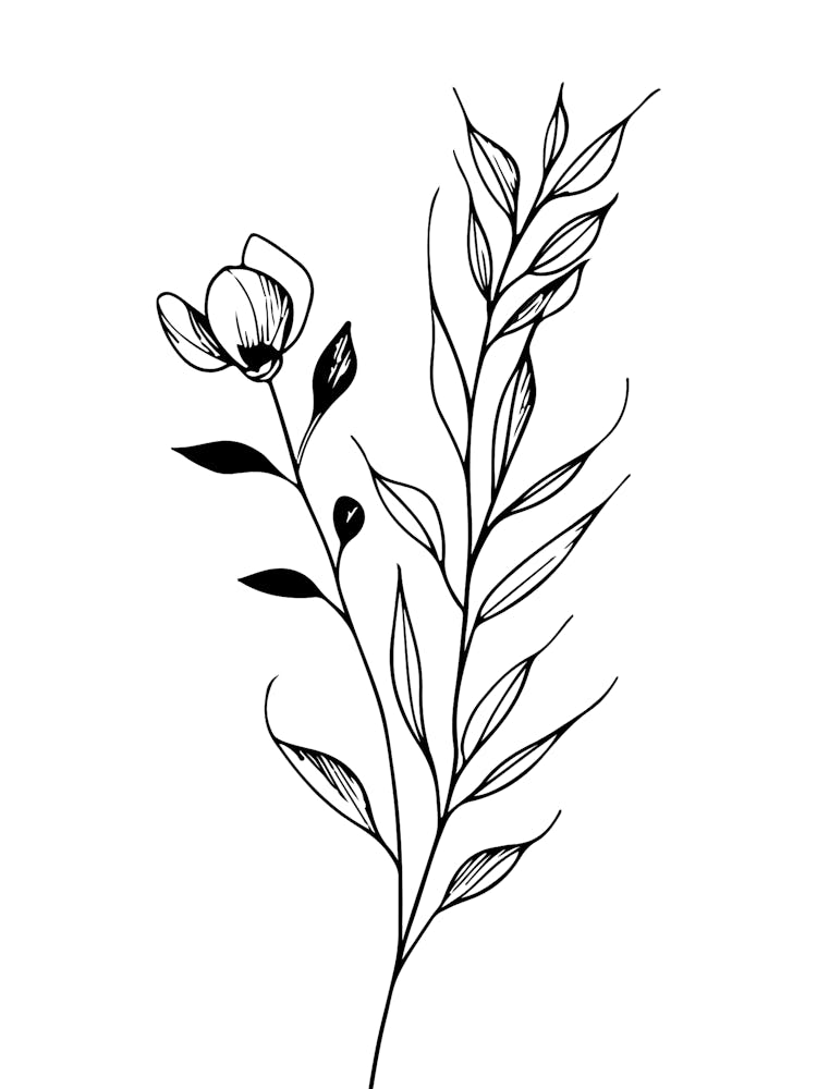 Lily Of The Valley Minimalist Line Art Monoline Illustration