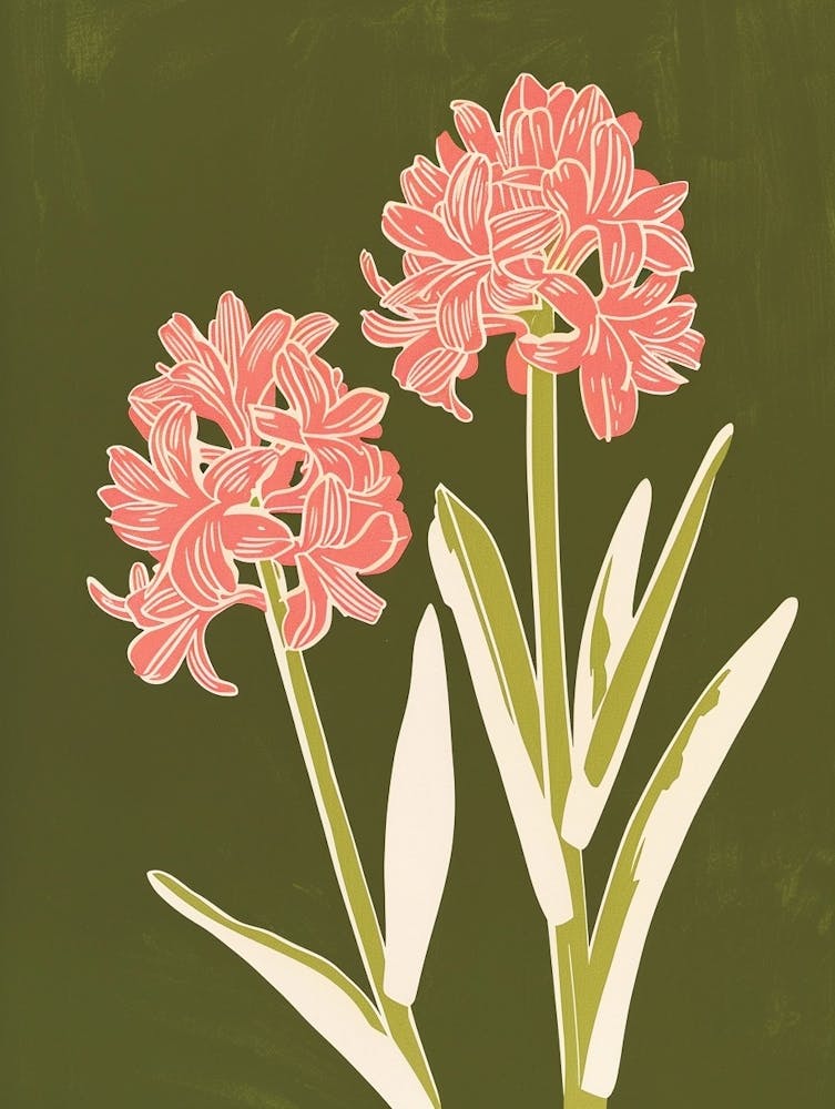 Pink & Green Hyacinth 1