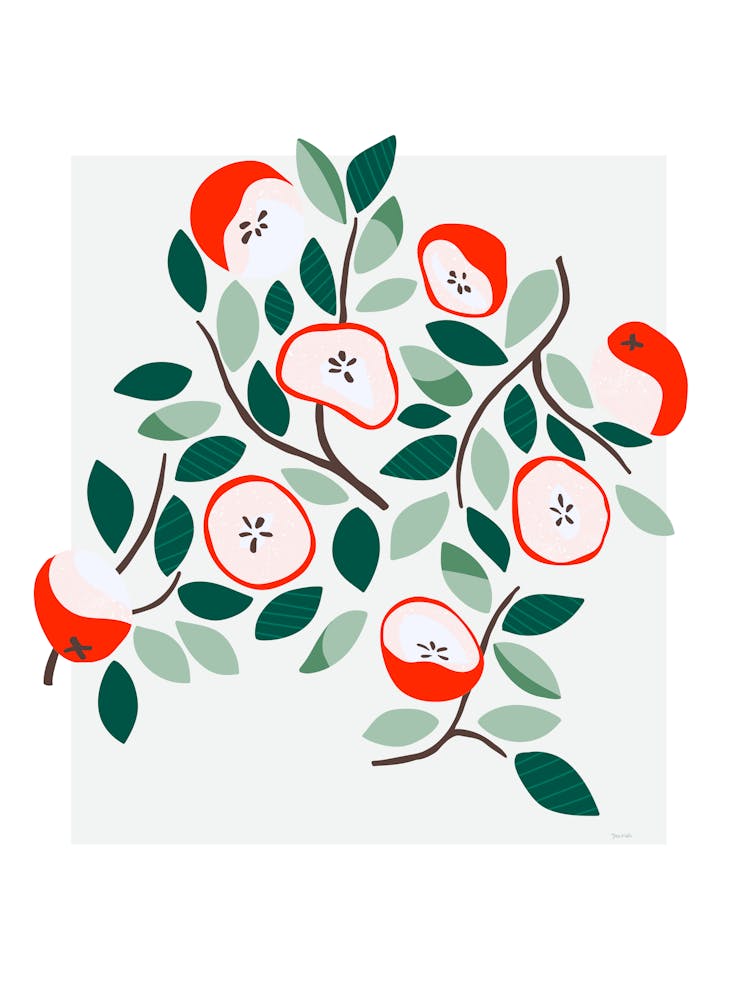Apple Tree