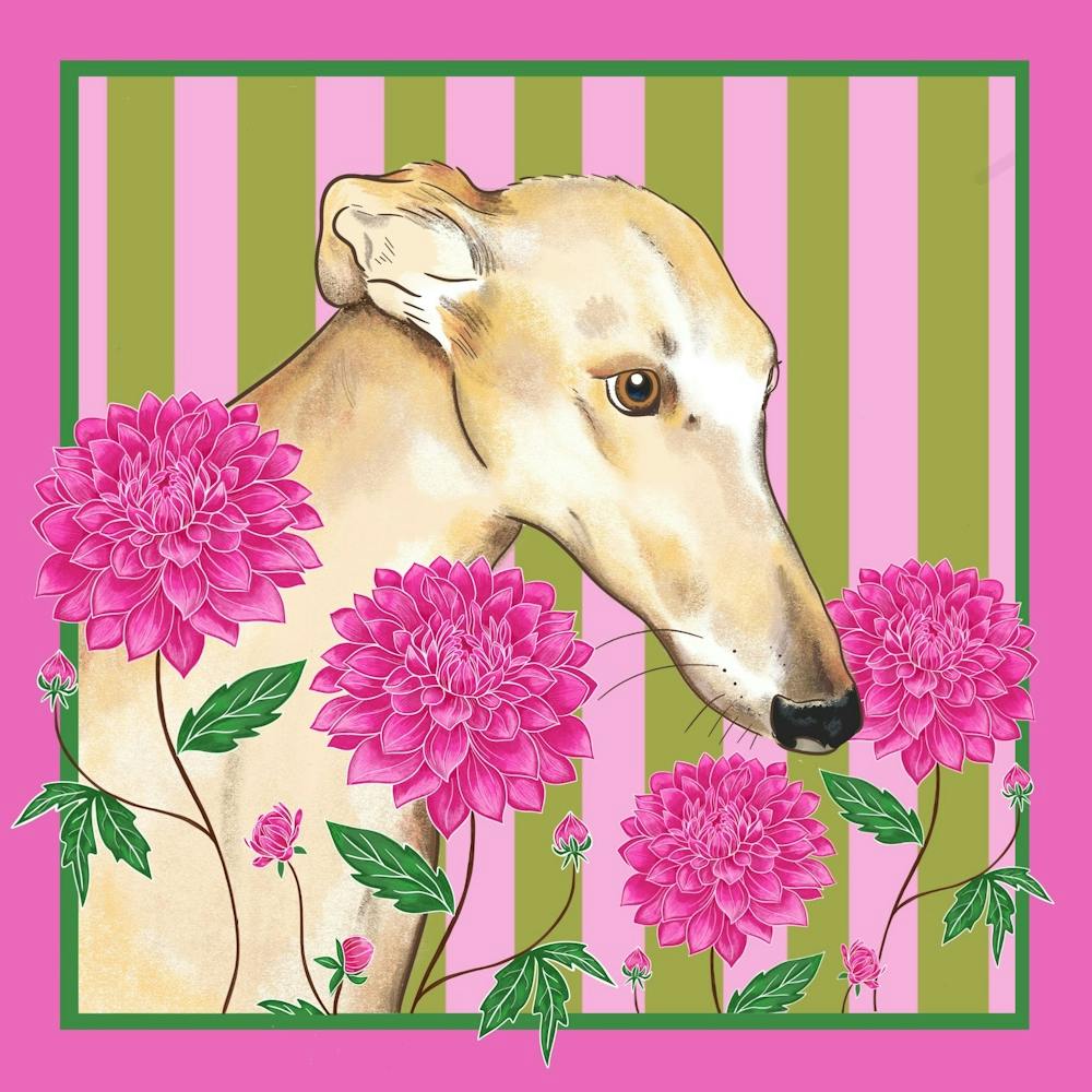 Greyhound and Dahlias