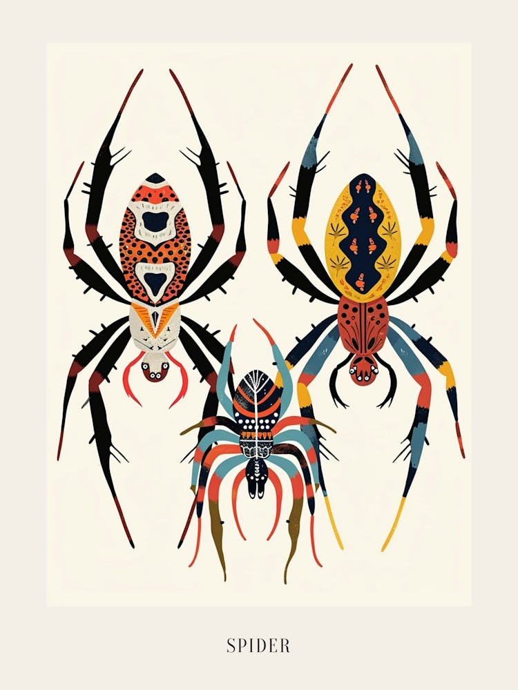 Colourful Insect Illustration Spider 3 Poster