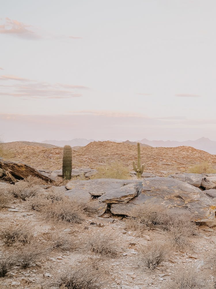 Pink Desert Sunset