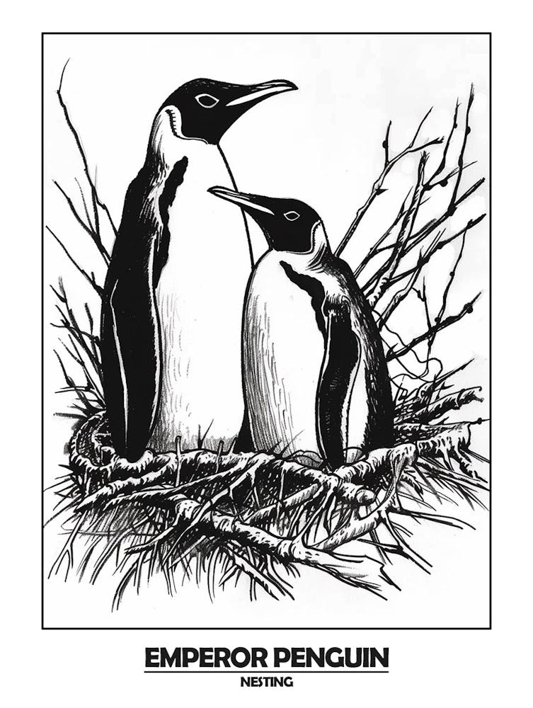 Penguin Nesting Poster 6
