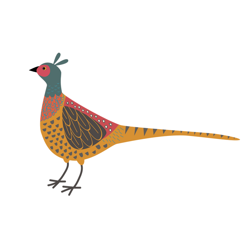 Pheasant