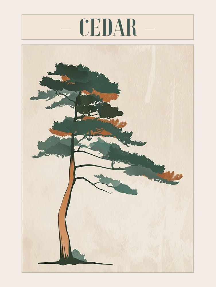 Cedar Tree Minimal Japandi Illustration 2 Poster