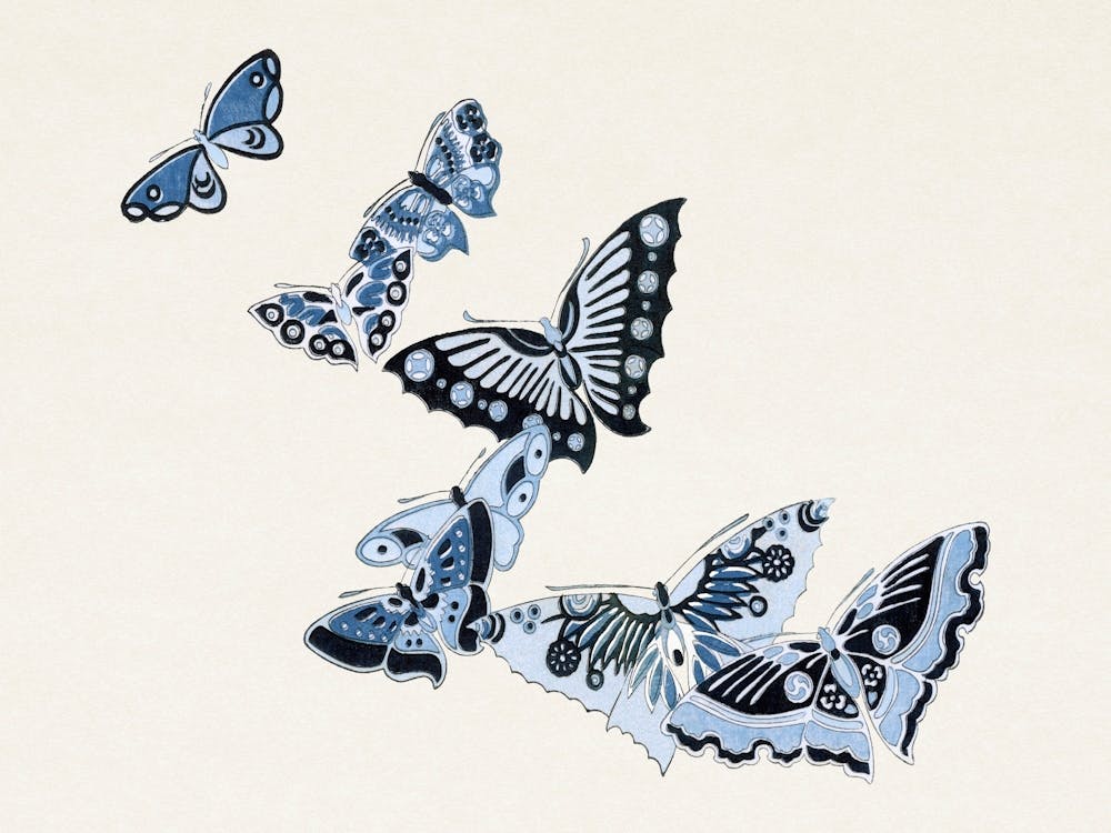Japanese Butterfly, Kamisaka Sekka (4)