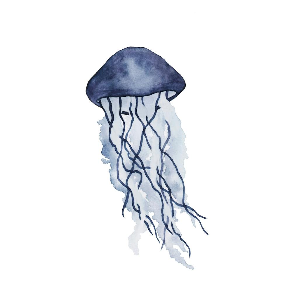 Jellyfish Square