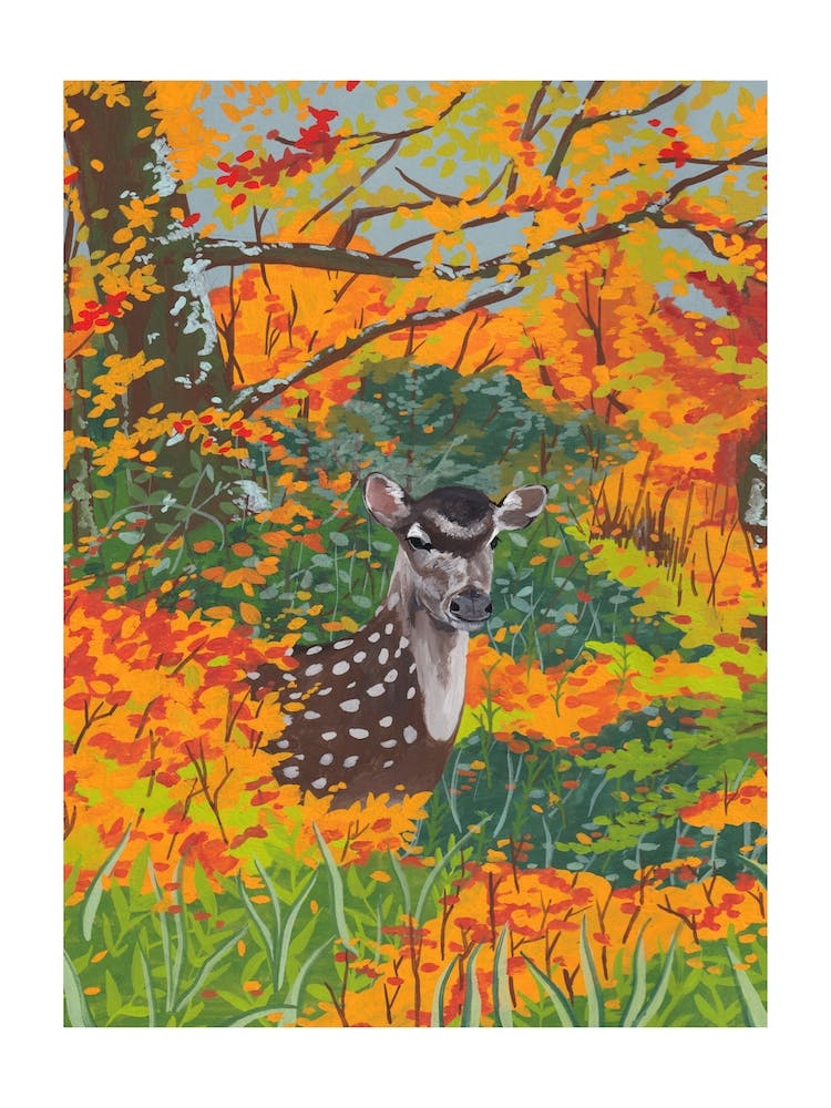 Oh Deer Autumn