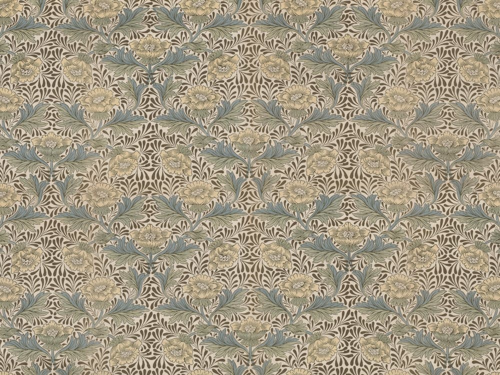 Peony, Kate Faulkner