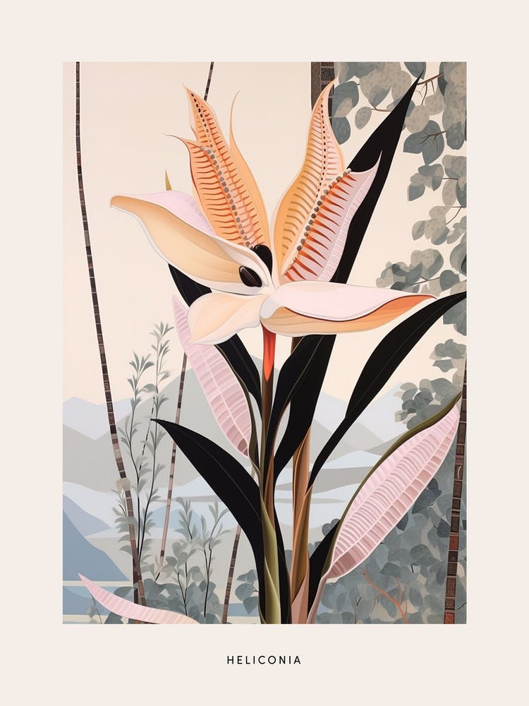 Flower Illustration Heliconia 1 Poster