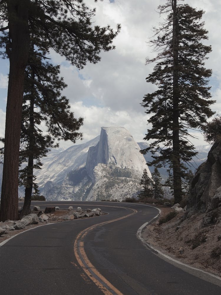 Yosemite Forest Road
