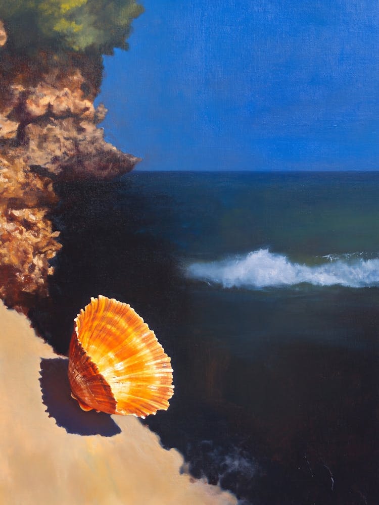 Shell On The Beach 1