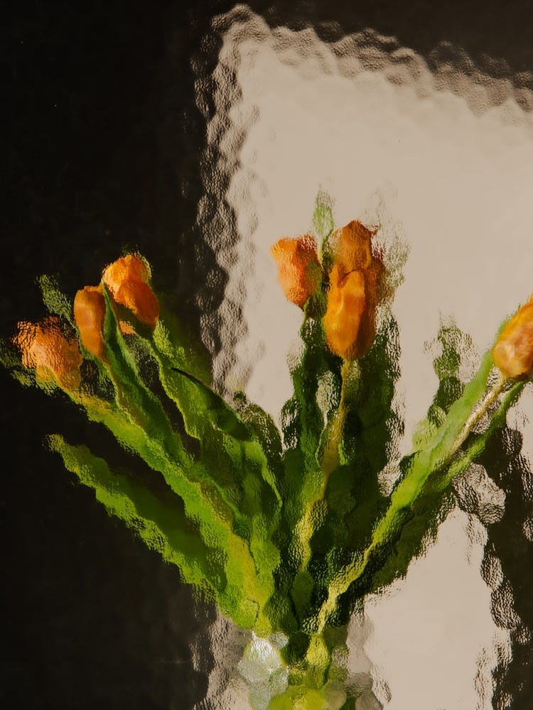 Orange tulips behind glass