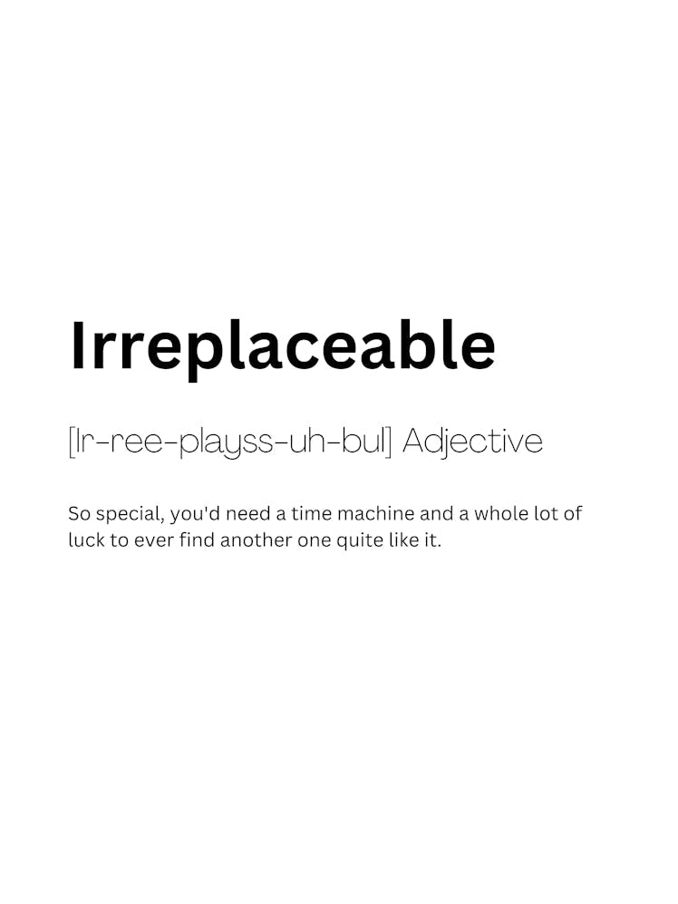 Irreplaceable Definition Meaning