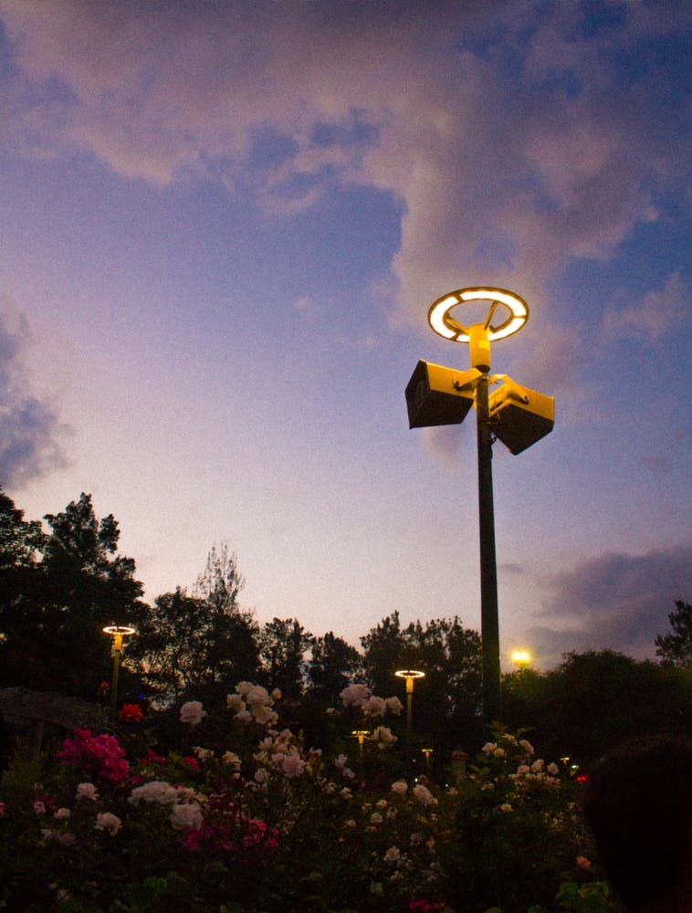 Twilight In The Park