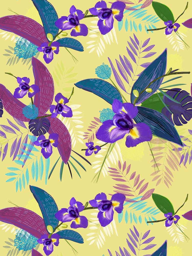 Purple Iris Flower