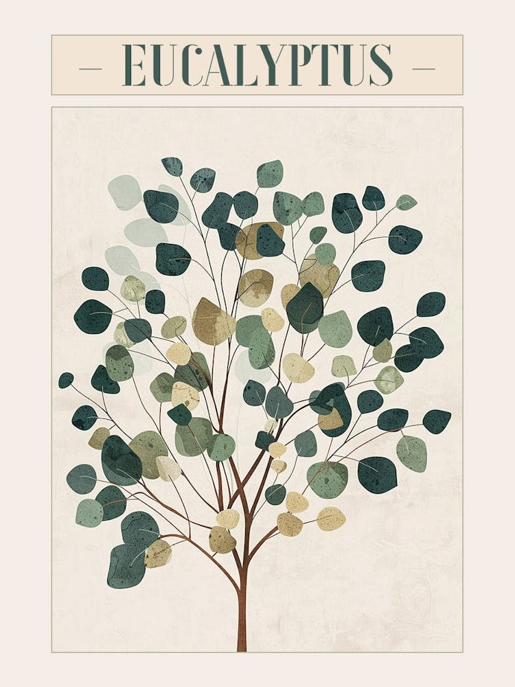 Eucalyptus Tree Minimal Japandi Illustration 3 Poster