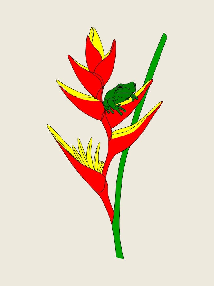 Frog On A Flower