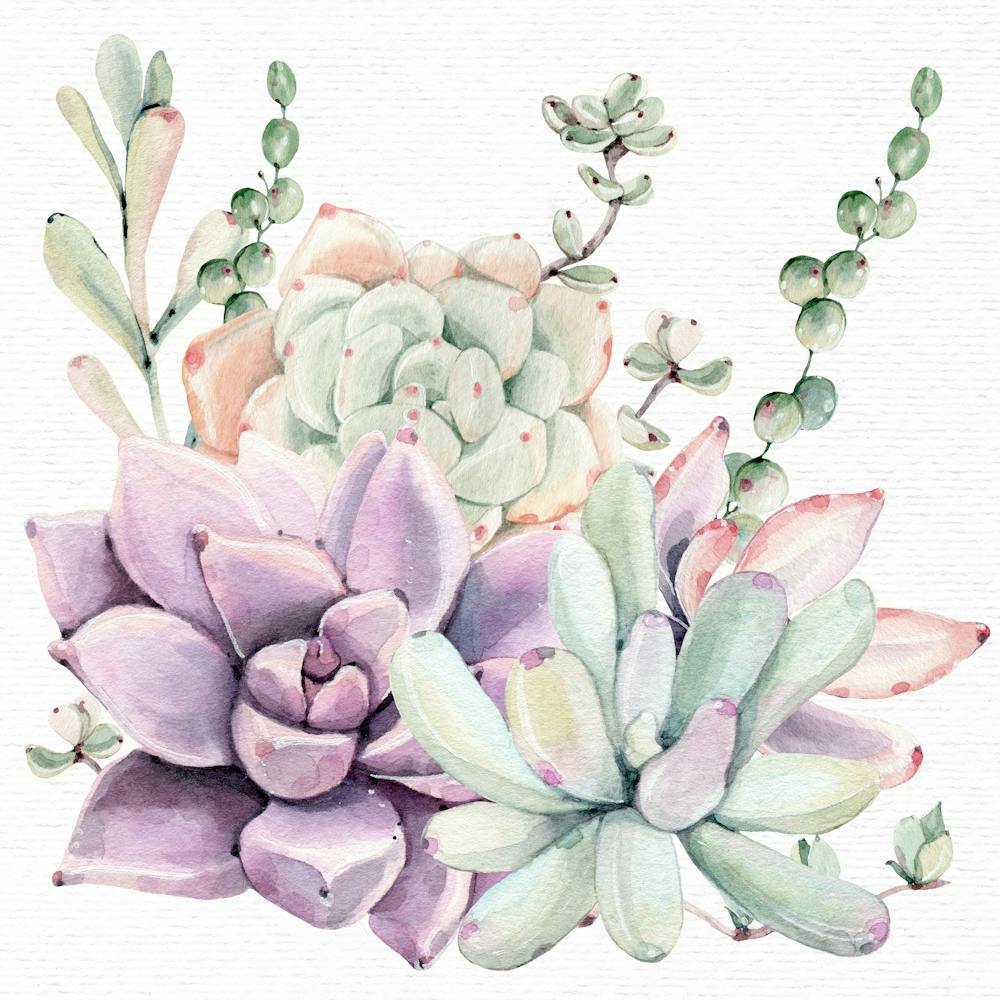 Pretty Succulents Watercolor Painting