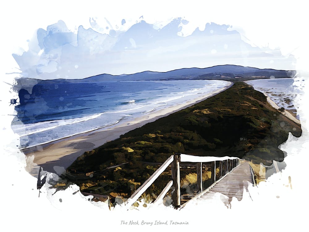 The Neck, Bruny Island, Tasmania