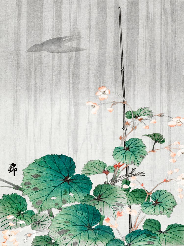 Begonia In The Rain (1930 1945), Ohara Koson