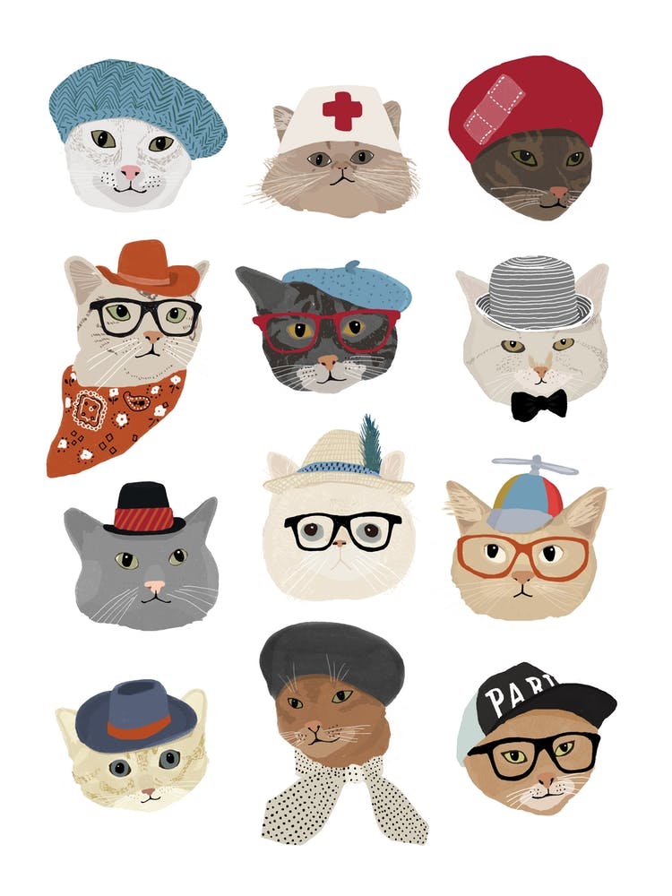 Cats In Hats
