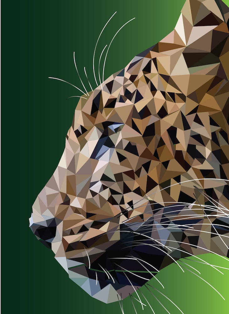 Low Poly Leopard