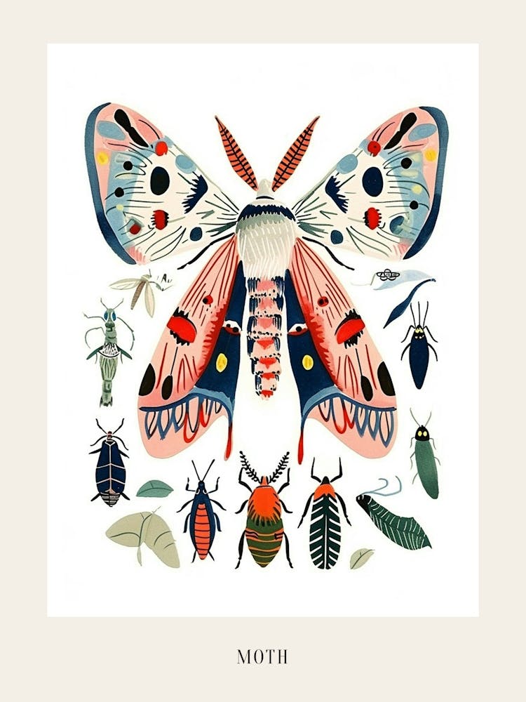 Colourful Insect Illustration Moth 12 Poster