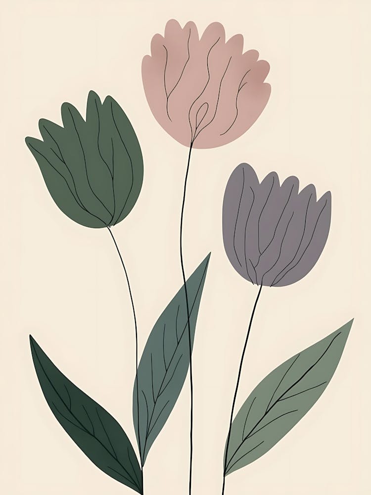 Tulips 2