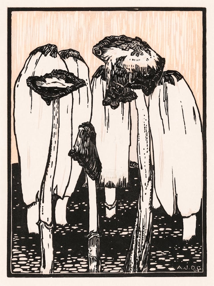 Ink Mushrooms, Julie De Graag