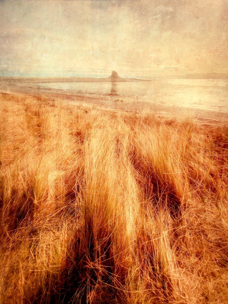 Lindisfarne Castle Across The Bay