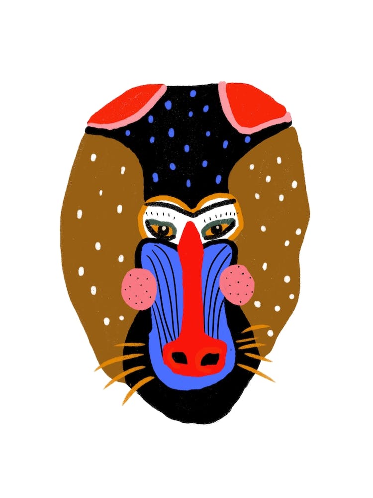 Colourful Mandrill