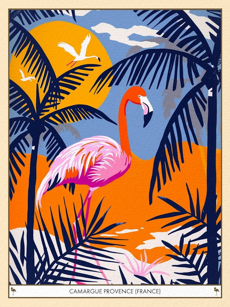 Greater Flamingo Camargue Provence France Tropical Illustration 4 Poster