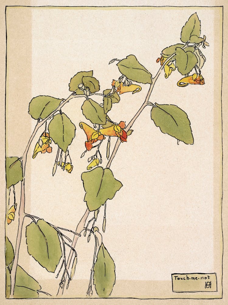 Touch Me Not (1915), Hannah Borger Overbeck