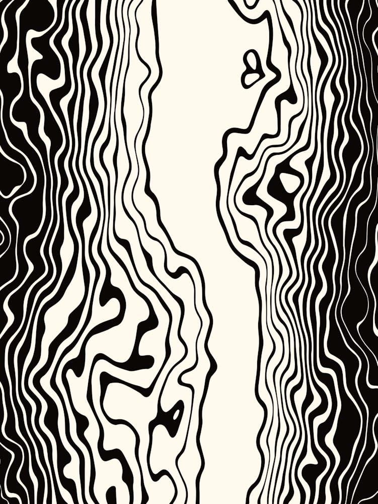 Black and White Squiggle Wavy Stripes