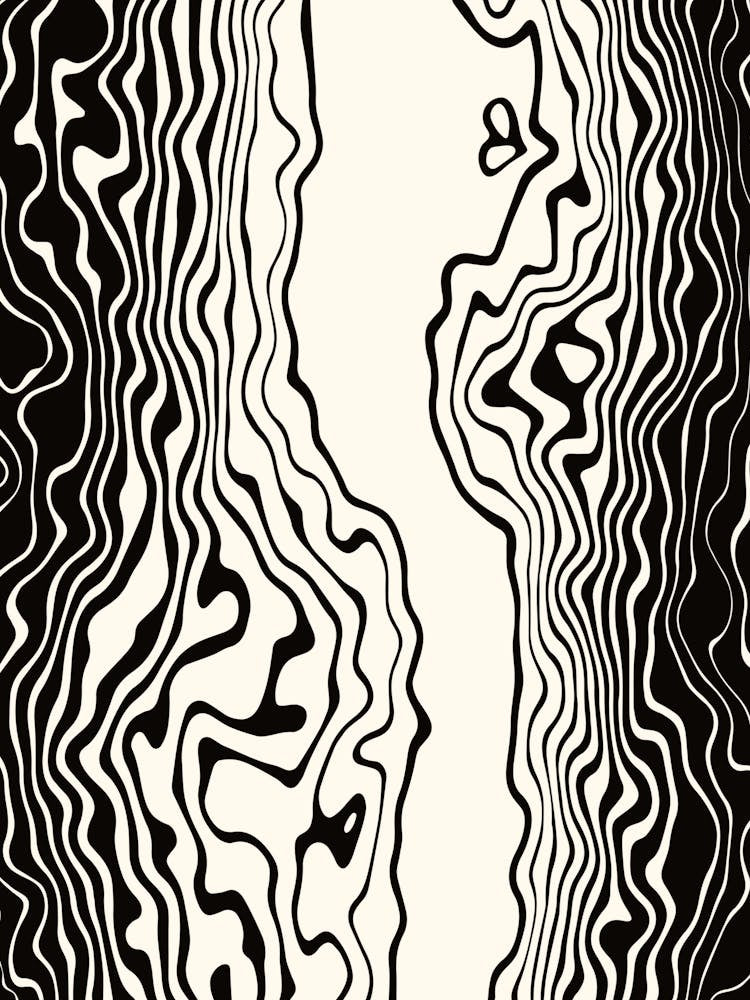 Black and White Squiggle Wavy Stripes