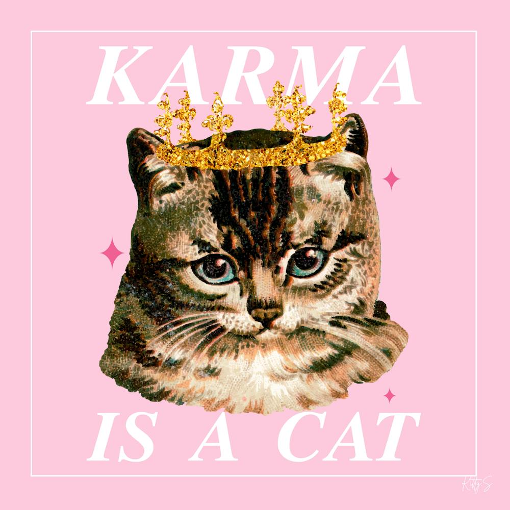 Karma Is A Cat 1