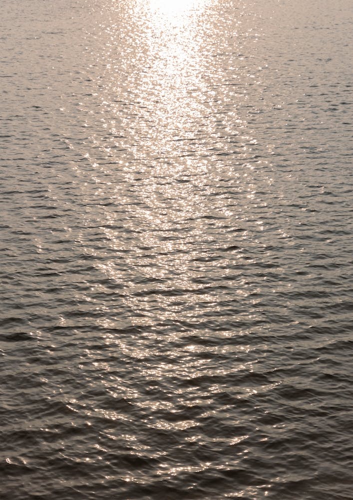 Sunny Sea