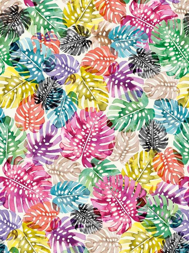 Tropical Monstera Leaves Multicolored