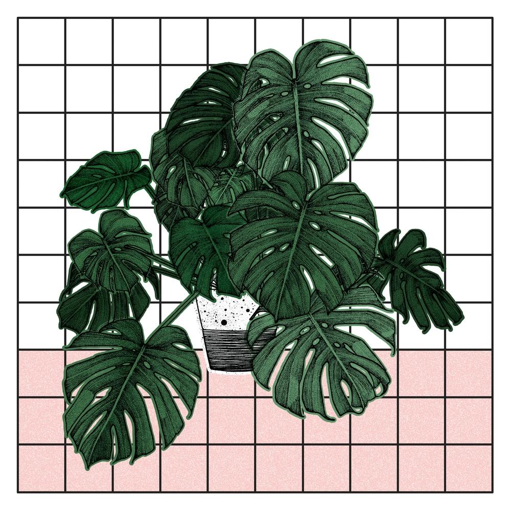 Geometric Monstera Plant Square