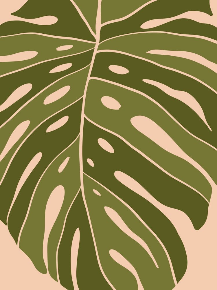 Monstera Leaf 4