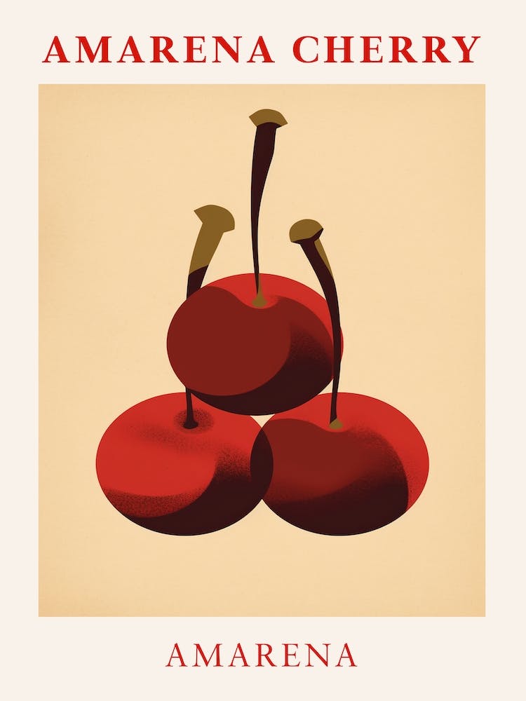 Amarena Cherry