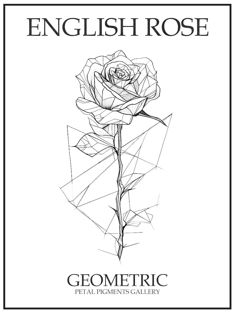 English Rose Geometric Line Drawing 4 Poster