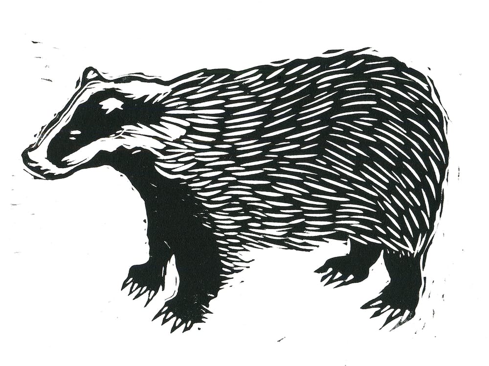 Badger Linocut
