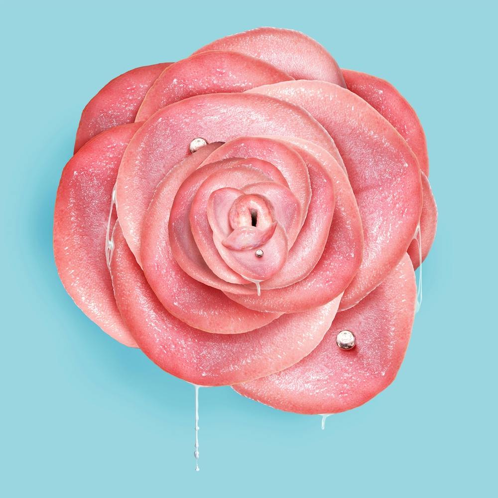 Look Like Lick Square