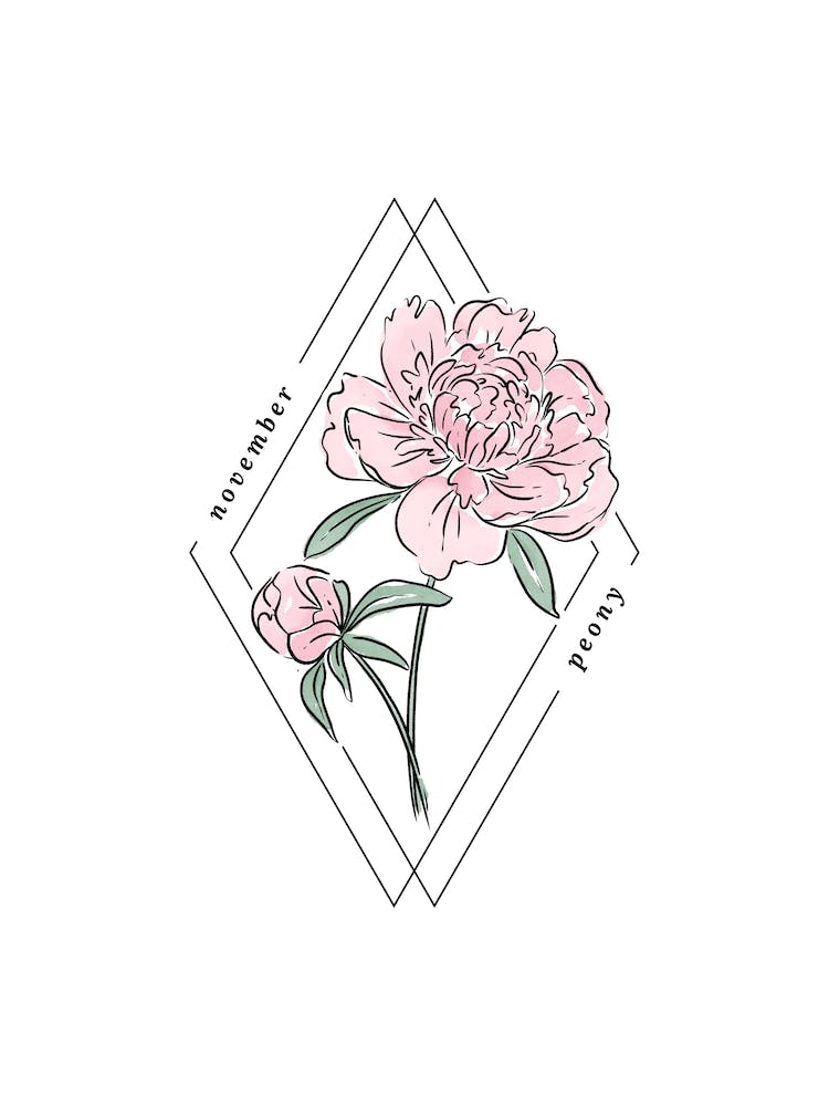 November Peony Birth Flower