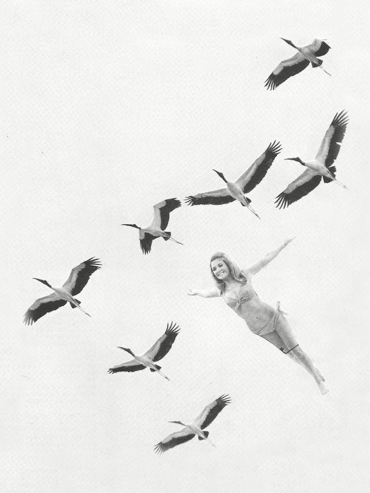 Flight